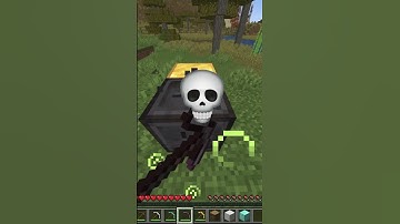 Minecraft Logic 🤡 #memeshorts #shorts #minecraft #trendingvideo #memes #Subscribe  #minecraftmemes