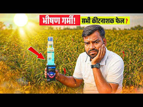 दवाई काम नहीं कर रही? 🛑 पहले ये वीडियो देखो | Insecticide Not Working in High Temperature