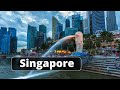 Singapore | Whales х ggnoaa
