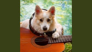 Guitar Canine Chords
