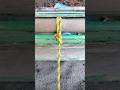 BOWLINE #viral #knot #shortsviral #diy #shorts #viral #fyp #tutorial #knottutorial #fyp #highlight