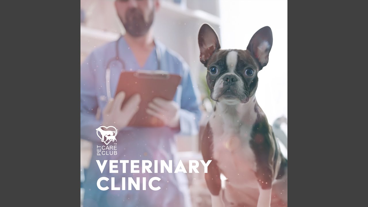 Calm and Serene Pet Care