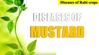 Diseases of Mustard | सरसों की बीमारियां और Management