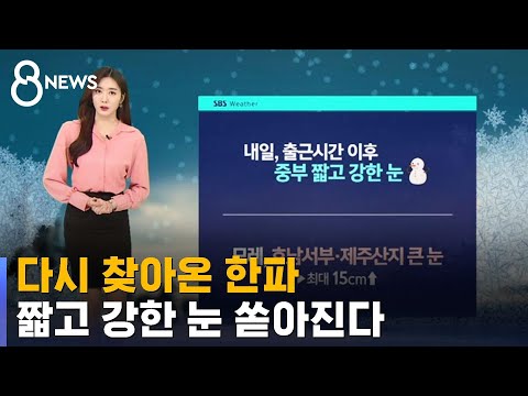 [날씨] 다시 찾아온 한파…짧고 강한 눈 쏟아진다 / SBS