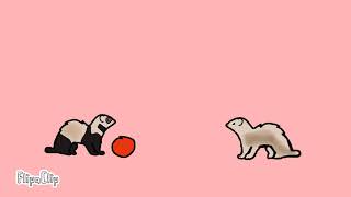 Ferret animation loop
i made this for me and my besties pfp for school lol Ferret animation loop