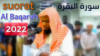 تلاوة خاشعة جداً لسورة البقرة كاملة بصوت الشيخ عكاشة كميني 2022 Quran Okasha Kameny