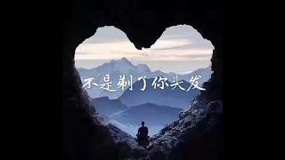 201406 不是剃了你头发31329