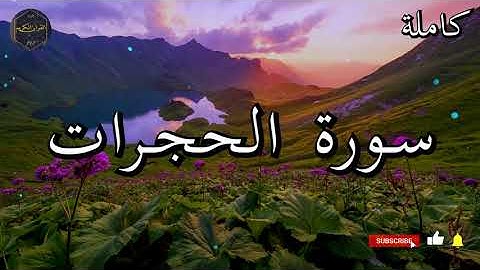 سورة الحجرات كاملة بصوت جميل جدا الشيخ أبو بكر الشاطري 🌹