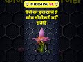 Top 30 ✍️ IAS Interview Question🔥💯🥰 | GK Question | GK In Hindi || GK Question and Answer || GK Quiz