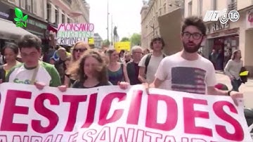 Từ nông thôn nhìn ra thế giới