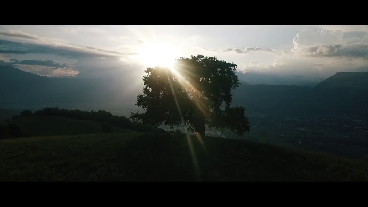 Chêne de Venon - Labellisation Arbre Remarquable