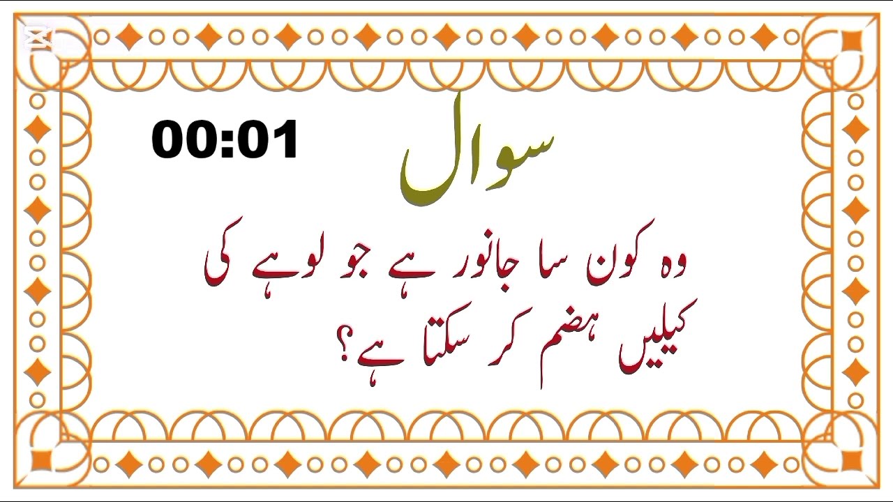 10 Zabardast Paheliyaan | Brain Test Challenge