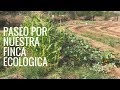 PASEO POR LA FINCA DE PERMACULTURA//Huerta en casa//Manos de tierra