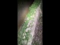 Welcome To My Live Stream 2026 05 16 