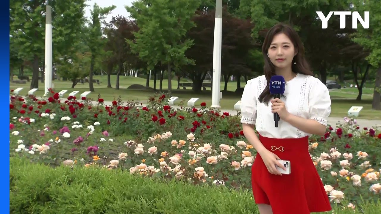 [날씨] 휴일, 전국 요란한 봄비...중서부 늦은 오후 강한 비 / YTN