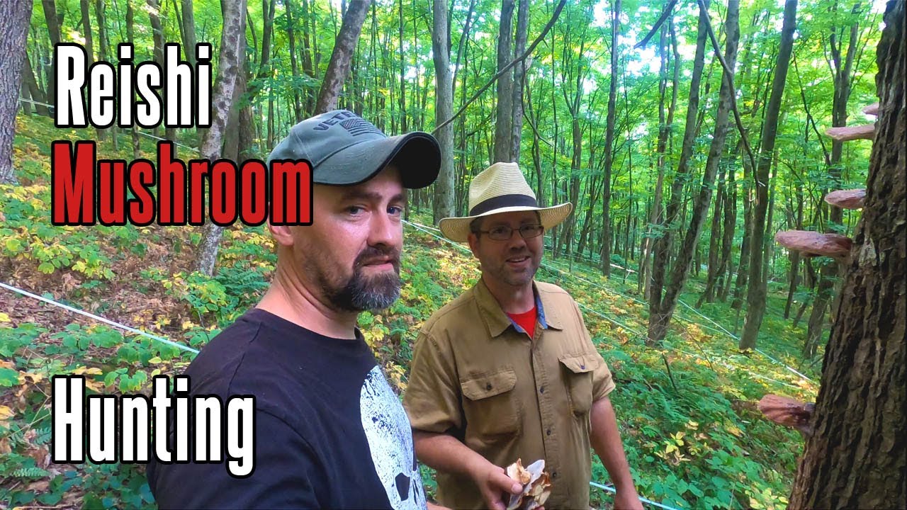 William's First Mushroom Hunt Wild Mushroom Foraging in Pennsylvania