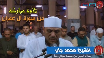 صلاة الفجر من مسجد سيدي شبل || الشيخ محمد جابر الصعيدي || من سورة آل عمران