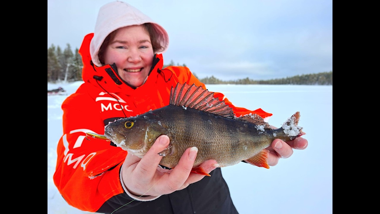 ISO AHVEN ISKI TASAPAINOPILKKIIN! - MIKÄ VIEHE TOIMI NYT KOTIJÄRVELLÄ?