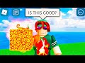 The Roblox Blox Fruits Experience