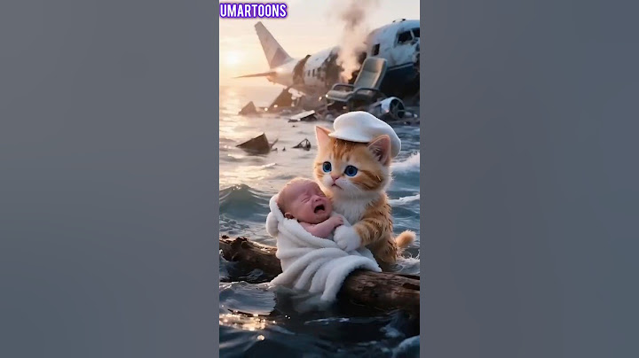 💔✈️🐾 Ek maa ki aakhri umeed, ek billi ki nayi shuruaat.#umartoons #baby