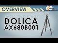 Dolica 68" Professional Tripod with Ball Head Overview - Newegg Lifestyle