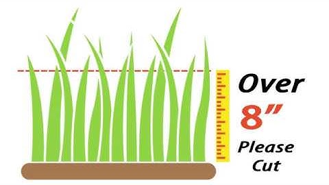 Weeds Code Enforcement PSA