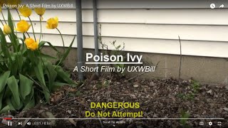 Poison Ivy: A Short Film by UXWBill by uxwbill 1,002 views 2 weeks ago 54 seconds