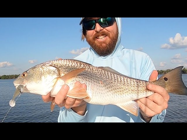 Catching Fall INSHORE SLAMS (In A Brand New Spot) 