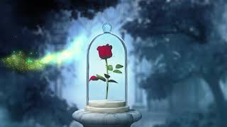 2021 Broadway Season - Disneys Beauty And The Beast