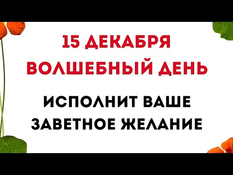 Видео: 15 декабря - куспид?