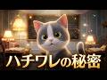 猫アニメ【猫の国】ハチワレ猫の模様の秘密を公開します！