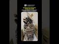 THE MISSILE THAT SHOCKED NATO
