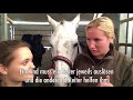 Sophies Vlog: Working Equitation (und Ankündigungen🎁)