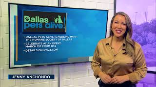 Dallas Pets Alive is merging with the Humane Society
