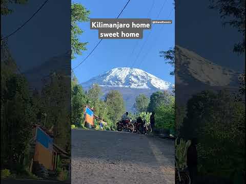 explore Tanzania #kilimanjaro