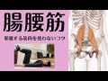 【腸腰筋を確実に使う方法】腸腰筋エクササイズを効果的に行うには「邪魔する〇〇筋を抑制すること」が第一優先！【愛媛県松山市　ピラティス・整体】