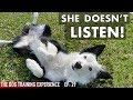 REAL TRAINING For Anyone With A Dog That Doesn’t Listen!