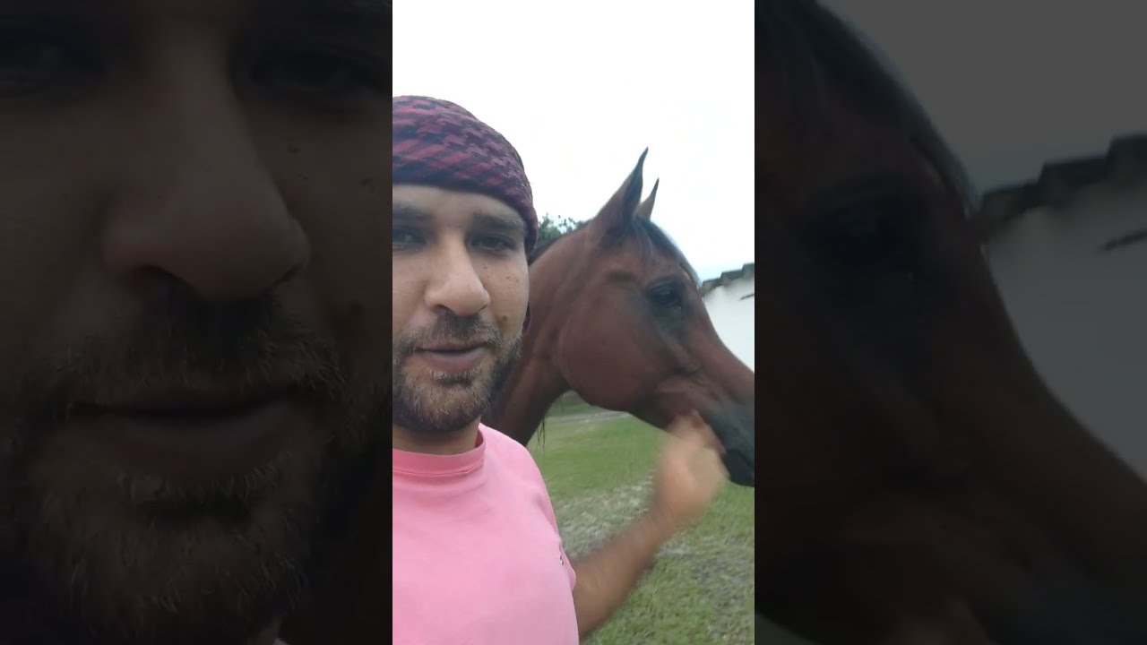 🛑احذر من البرازيل . ليه البرازيل؟؟! (شوف للآخر)