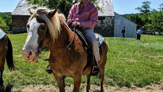 National Riding Stables Gettysburg Pa