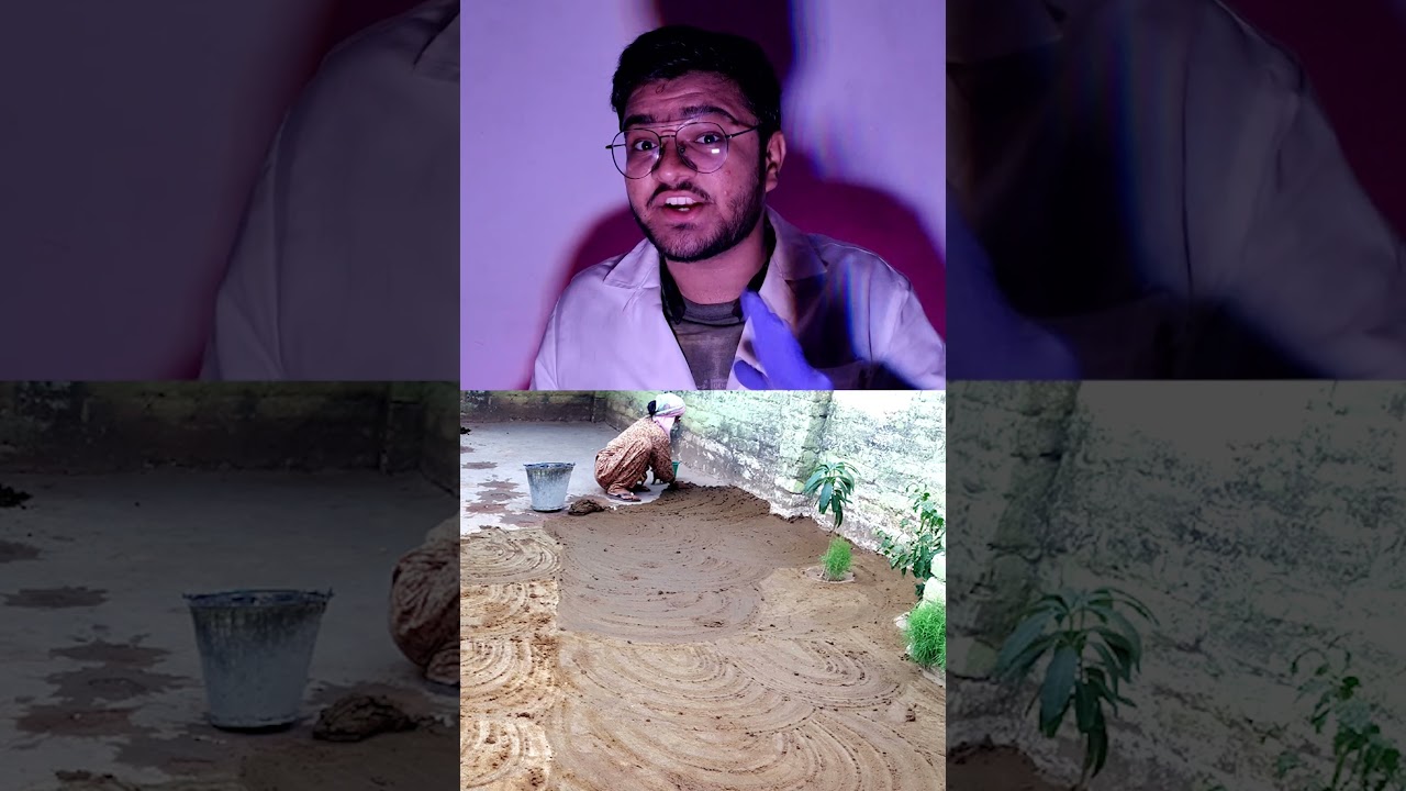 COW IS A DOMESTIC ANIMAL AND VERY HELPFUL TO HUMAN / Heartpulse / like and subscribe