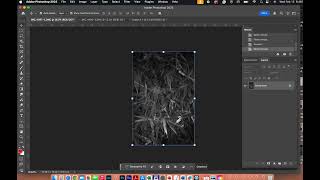 Photoshop Basics, Diptych Creation