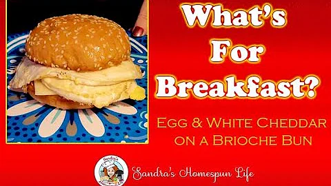 Eggs & White Cheddar on Brioche Bun