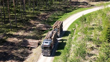 Loading naturally seasoned timber