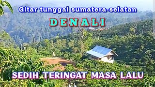 Gitar tunggal sumatera-selatan