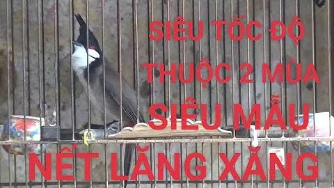 TỐI 14/12/2025 THUỘC 2 MÙA SIÊU TỐC ĐỘ, BỘ ĐẸP NHƯ TRANH, CỰC KỲ LĂNG XĂNG, NẾT QUÁ HAY AE Ạ GẤU CỰC