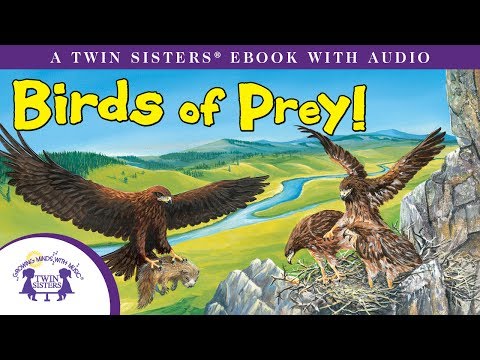 know-it-alls!-birds-of-prey!---a-twin-sisters®-ebook-with-audio