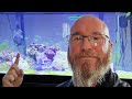 Update on all my saltwater aquariums! Must see! #subscribe #reeflife #saltwaterfix #youtube