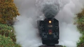 SLニセコ号』晩秋の山線で究極のパフォーマンス - YouTube