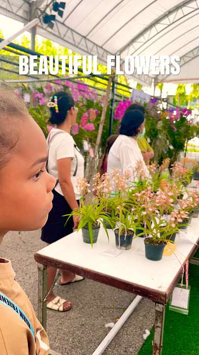 Traditional 🇹🇭 #youtubeshorts #shorts #thailand #shortsvideo #viral #love