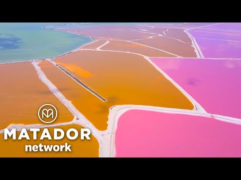 Video: Co Se Nosí V Džungli Yucatan - Matador Network